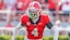 KJ Bolden Georgia Bulldogs NCAAF