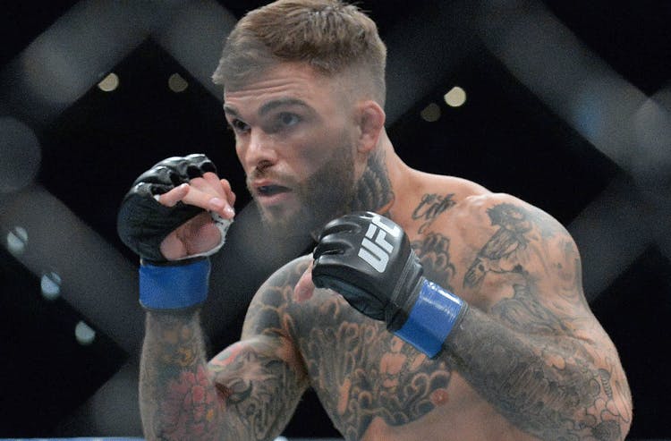 Cody Garbrandt UFC