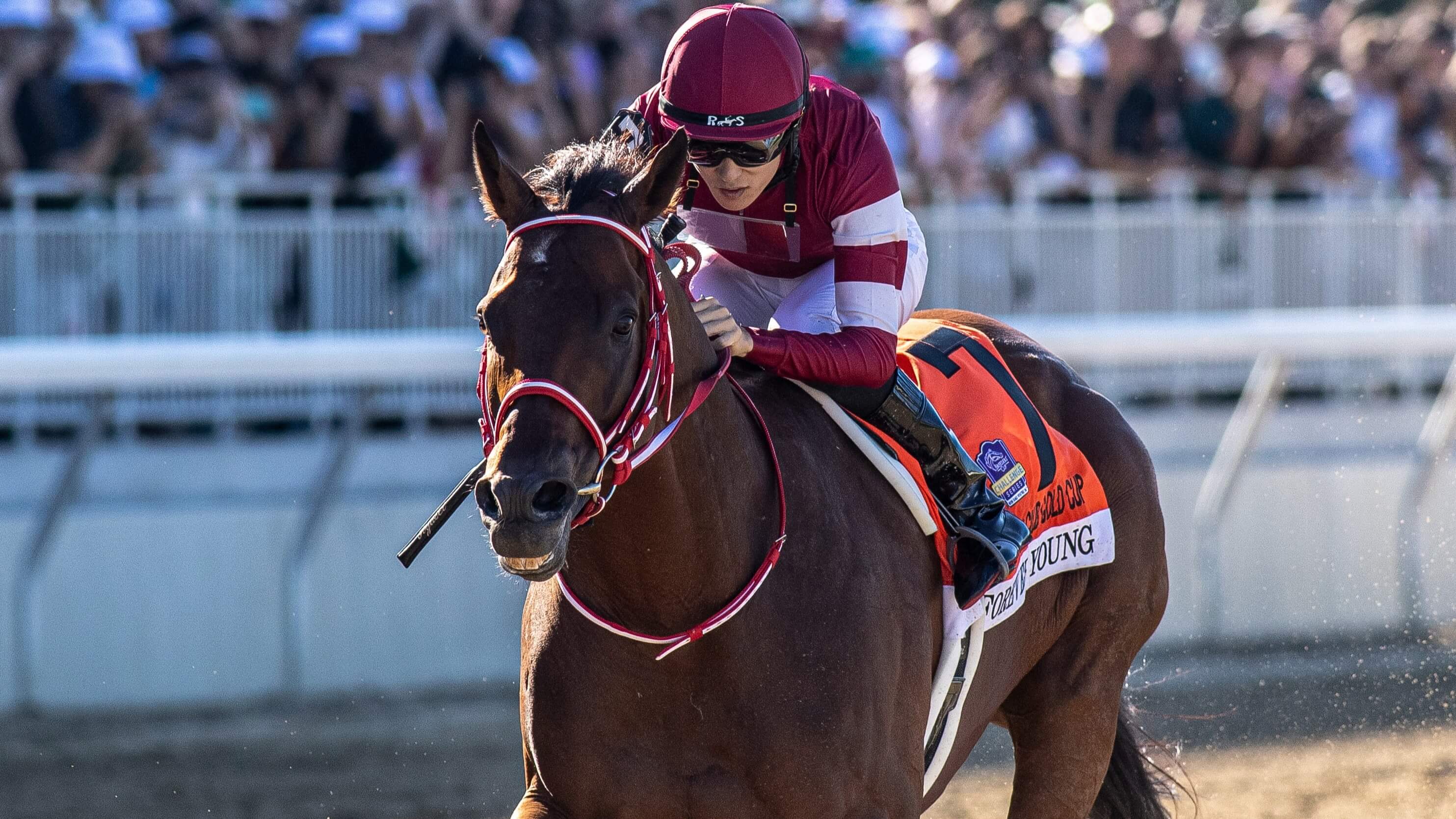 How To Bet - Breeders' Cup Odds 2026: Forever Young Favored After Jockey Club Gold Cup Score