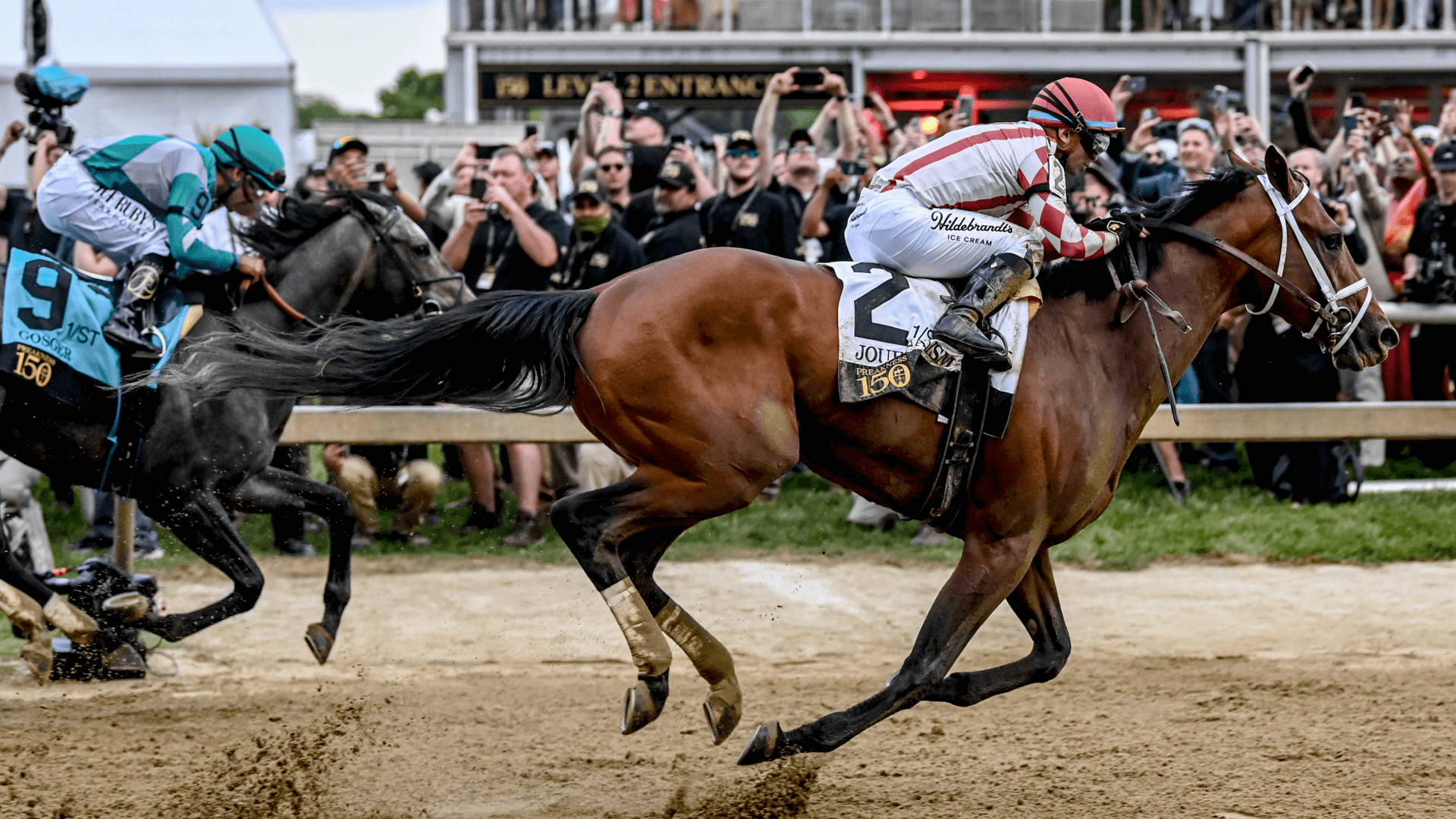How To Bet - Belmont Stakes AI Predictions: ChatGPT Picks the Winner of the Test of Champions