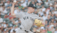 Will Warren New York Yankees MLB