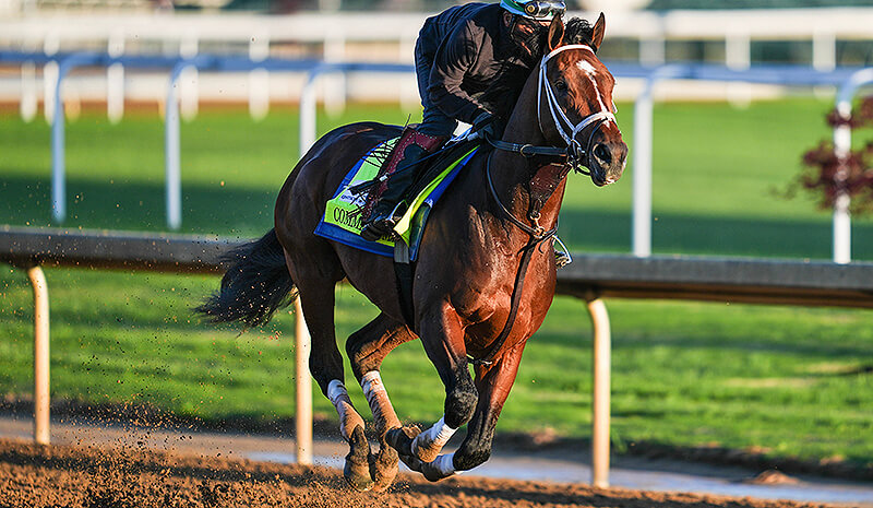 How To Bet - 2026 Kentucky Derby AI Predictions: We Asked Gemini to Predict the Outcome of The 152nd Run for the Roses