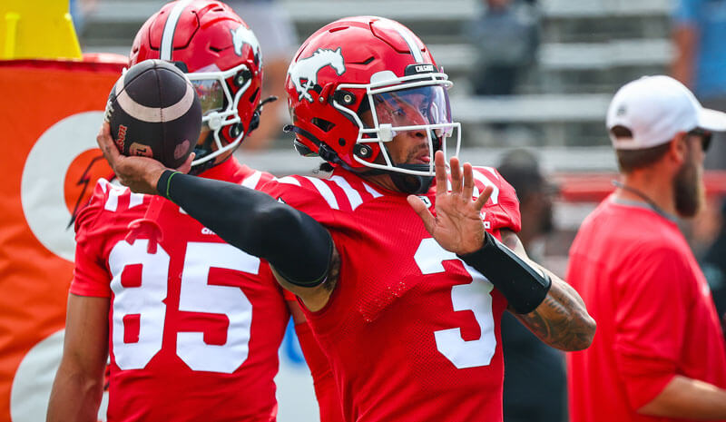 Lions vs Stampeders Prediction, Picks & Odds for CFL Week 16