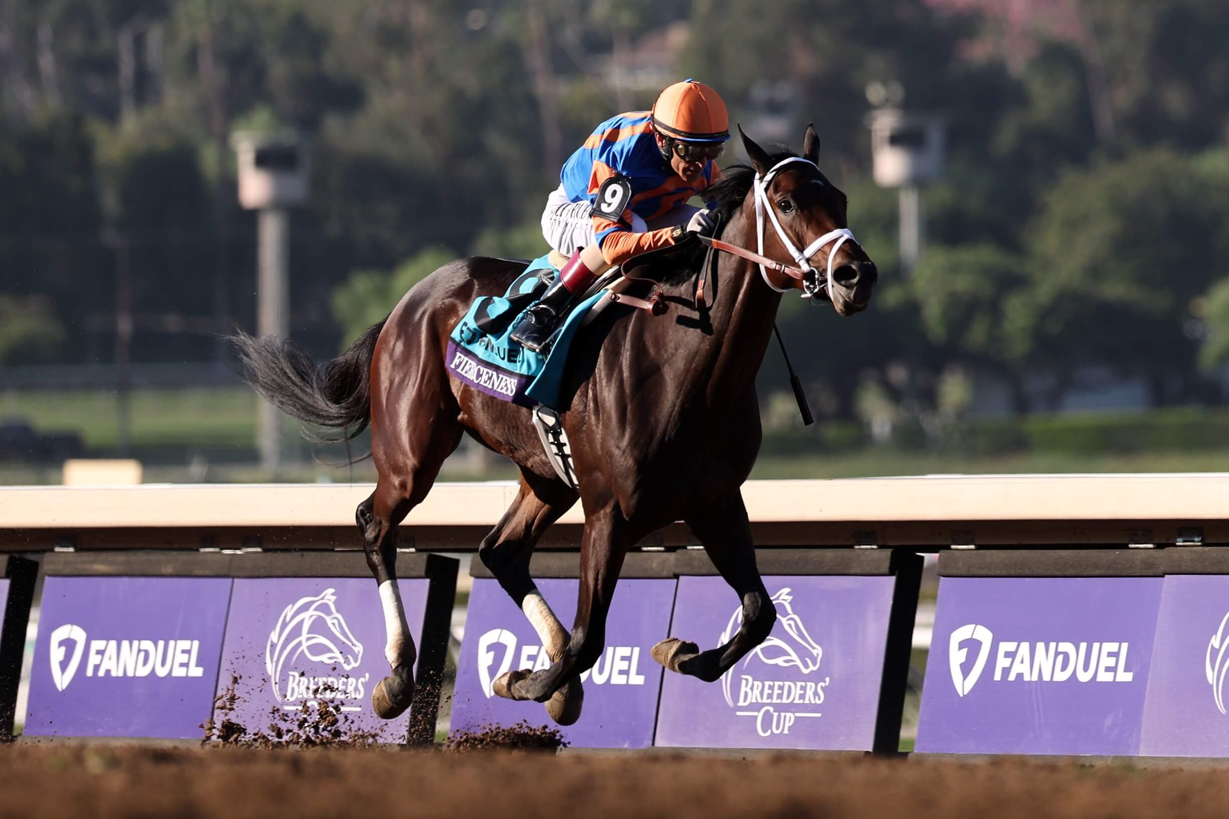 How To Bet - Kentucky Derby Odds & Betting Lines 2024: Fierceness Enjoys Favoritism in Early Wagering