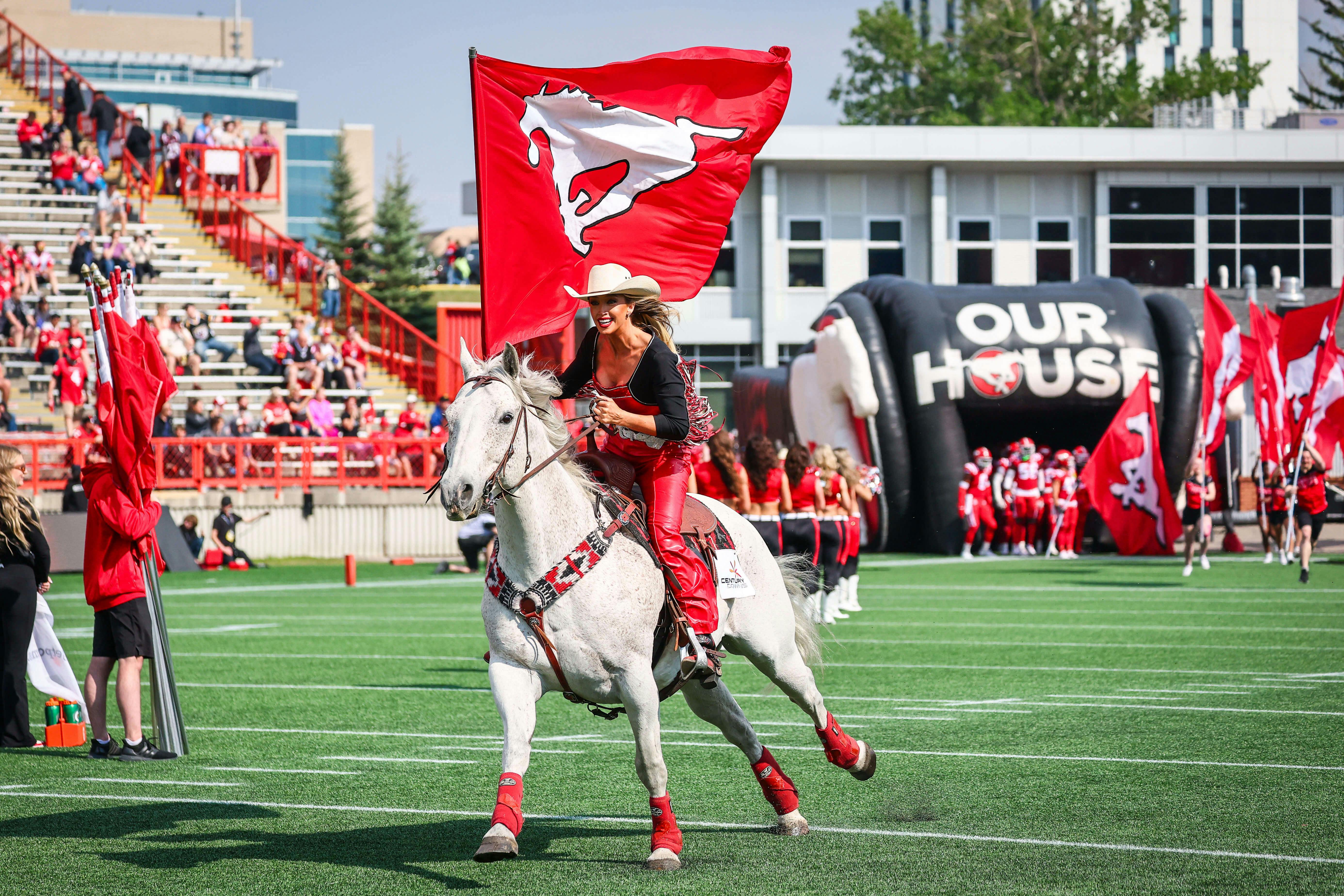 Alberta’s 50/50 Draws Suggest Big Sports Betting, iCasino Potential