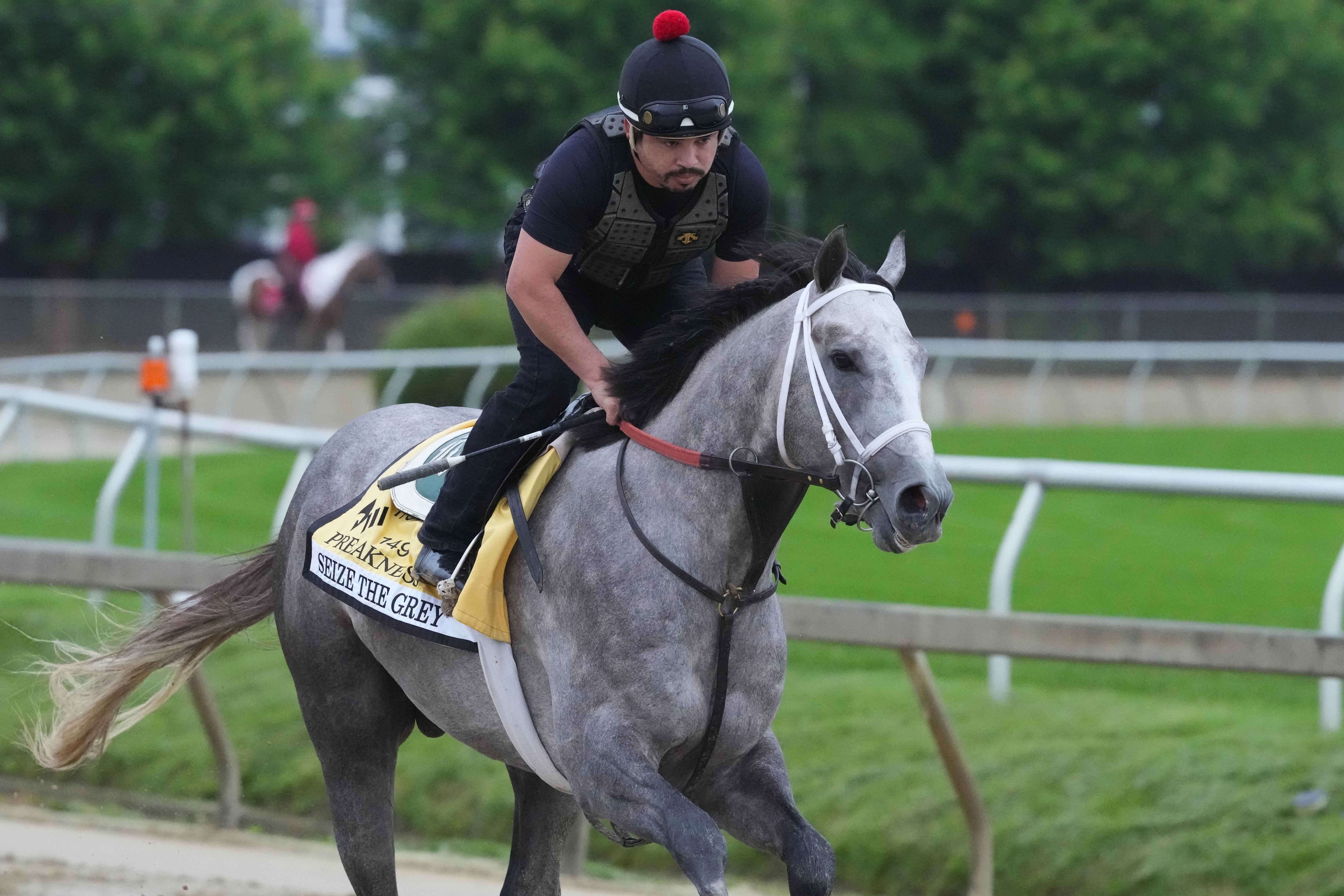How To Bet - Preakness Stakes Long Shot Odds: Underdogs and Sleeper Bets for 2024