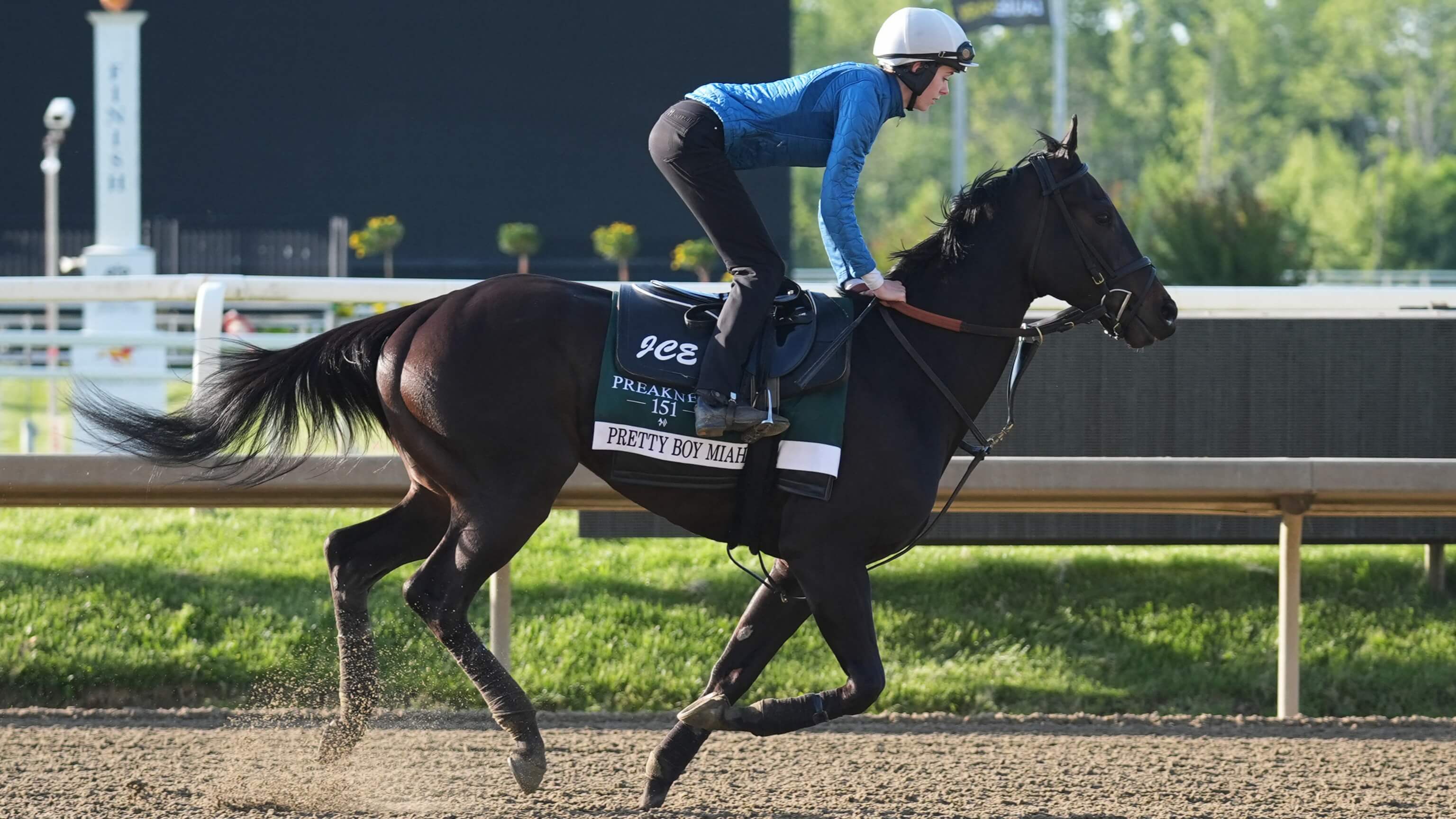 How To Bet - 2026 Preakness Stakes Horses: Who is Running at Laurel Park This Year?