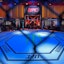 UFC Fight Night Octagon