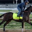 Belmont Stakes horse racing Honor Marie
