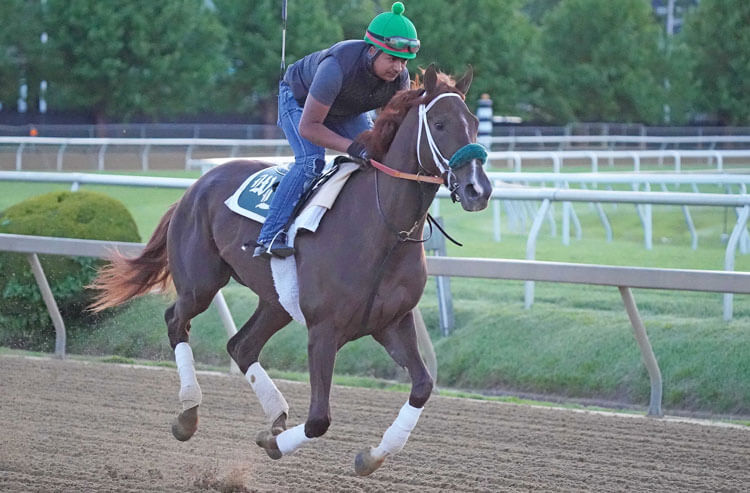 Preakness Picks and Predictions: Which Horses Will Win, Place, and Show at Pimlico?