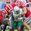 Georgia Bulldogs NCAAF