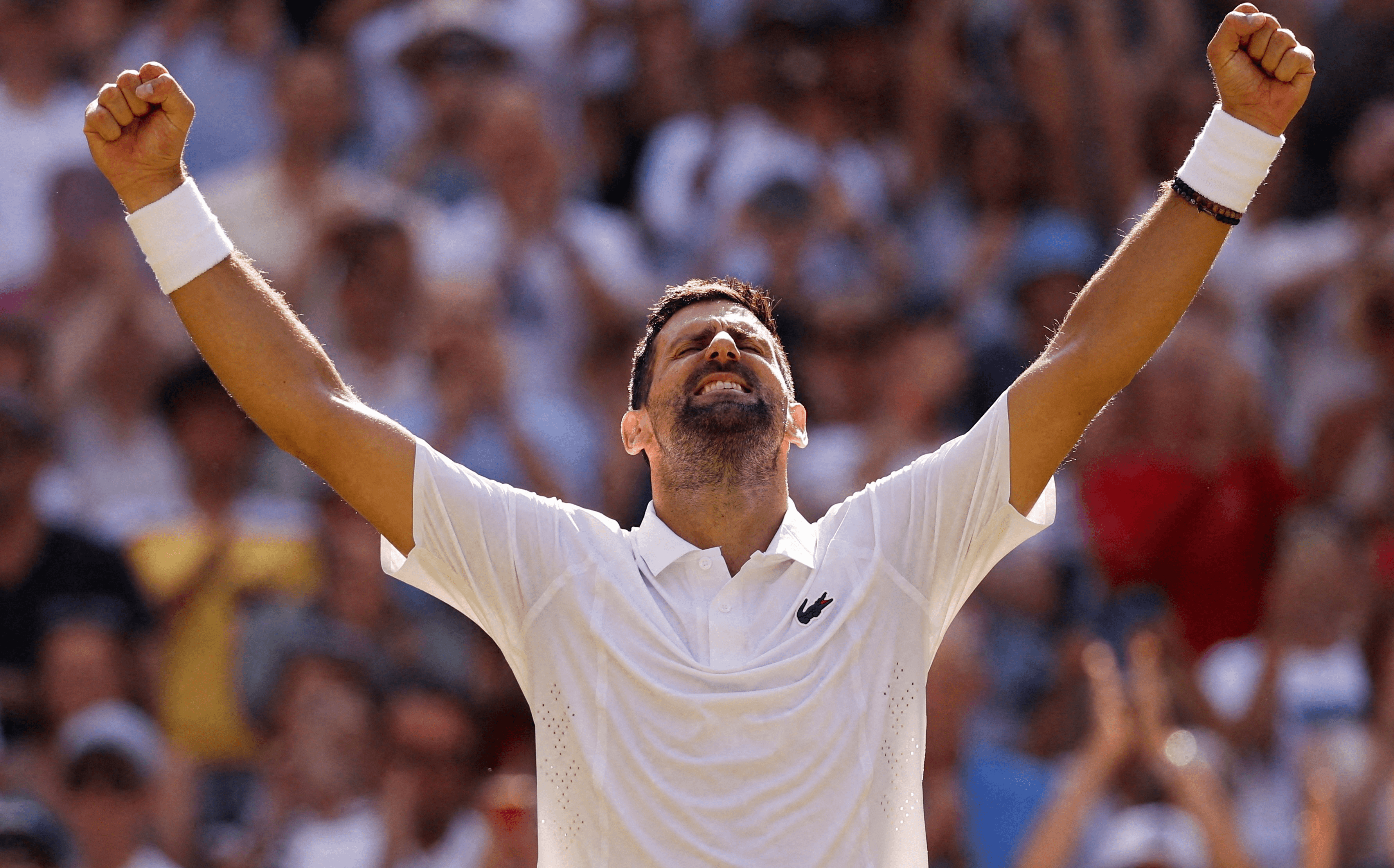 Novak Djokovic ATP Tour