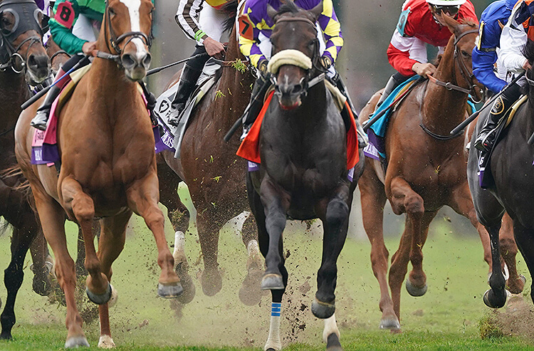 Pari-Mutuel Betting Guide: Learn How to Bet on Horse Racing Like a Pro