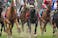 Horses racing