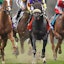 Horse racing