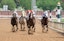 Marmalade Skye, center, with jockey Jann N. Hernandez up, won the first race of the day on 'Winsday' at Churchill Downs in Louisville, Kentucky. April 30, 2025