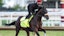 2025 Kentucky Derby Baeza