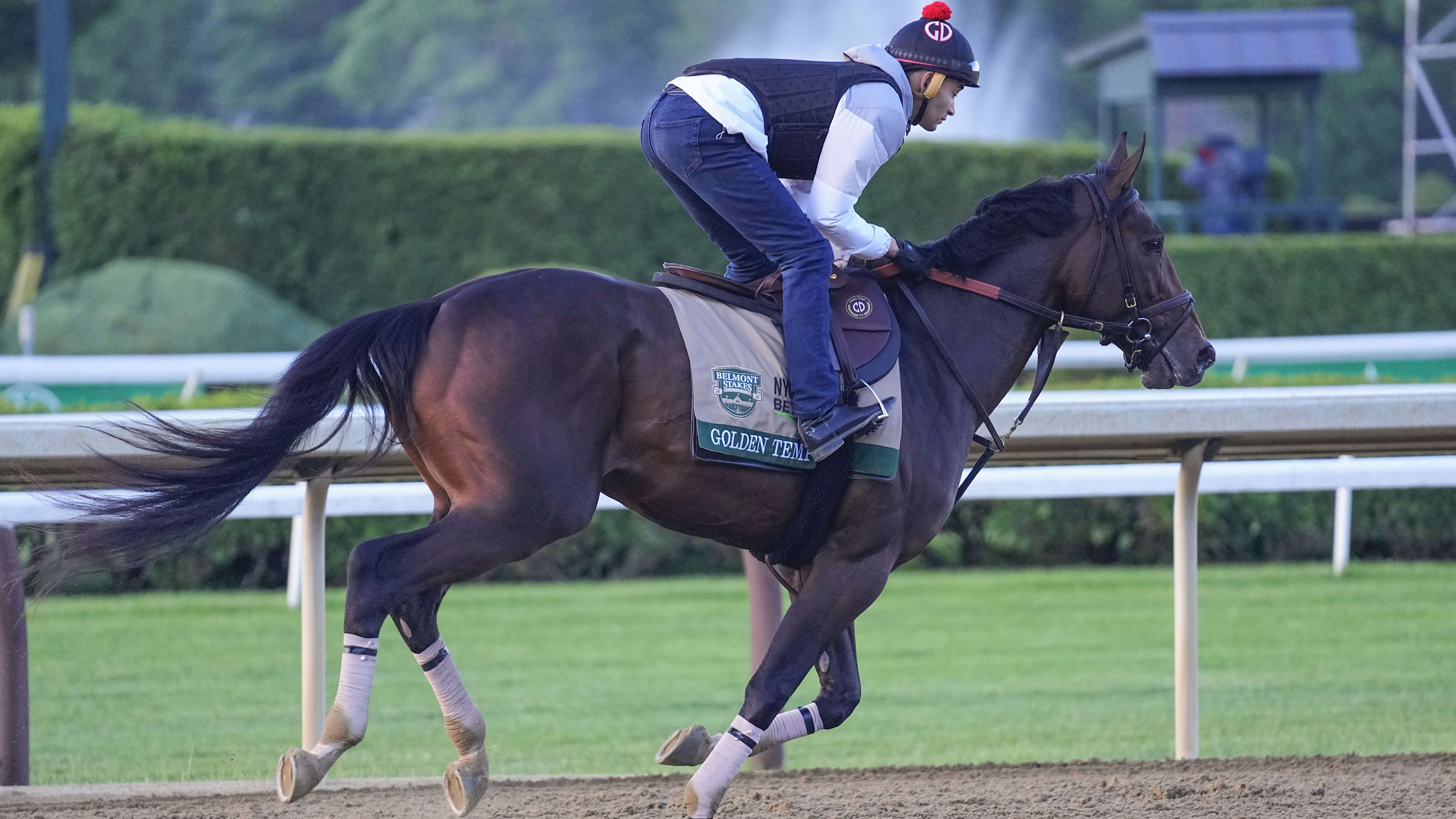 How To Bet - Breeders' Cup Odds 2026: Golden Tempo Looks to Outshine Rivals in Travers Stakes