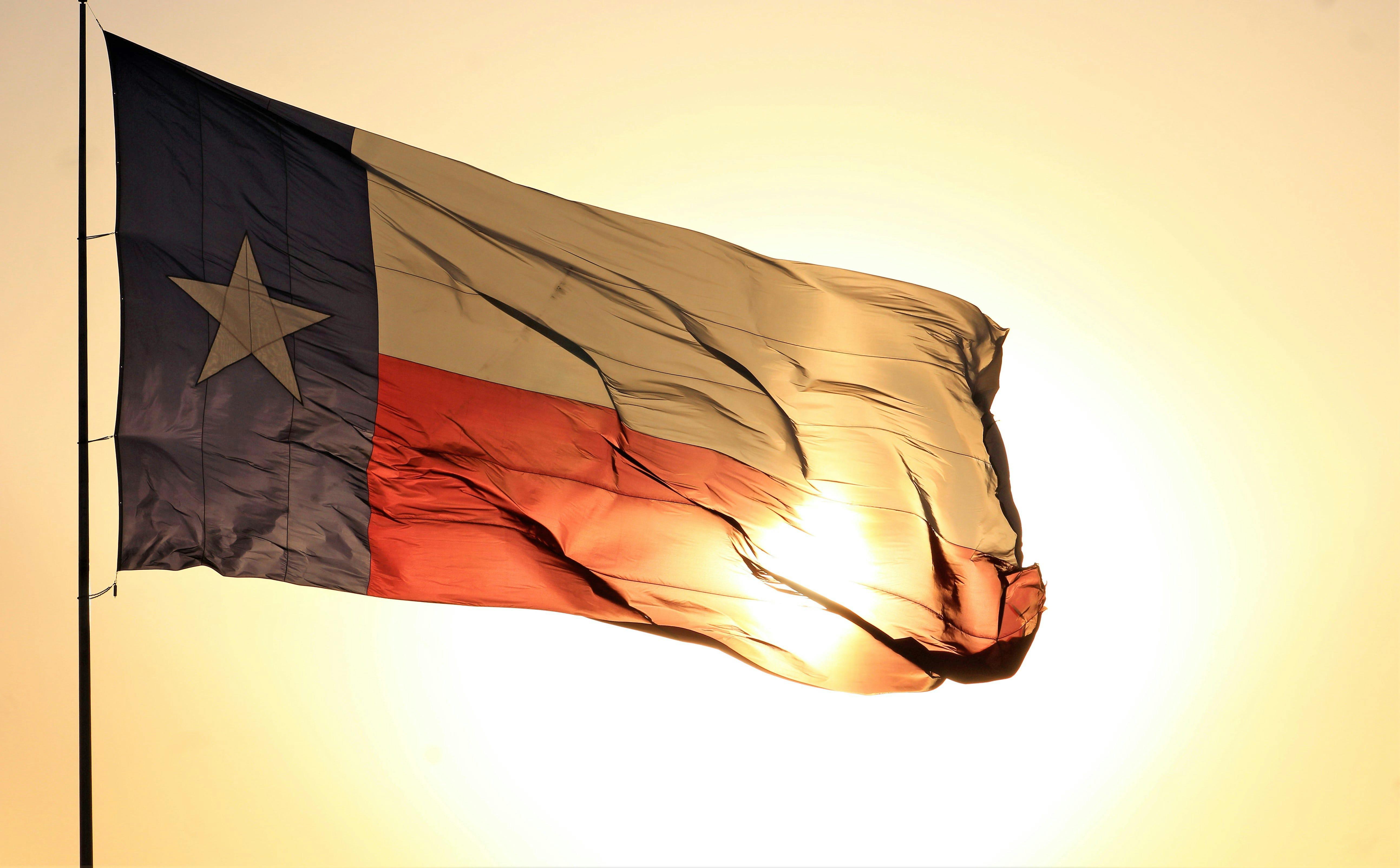 Texas state flag