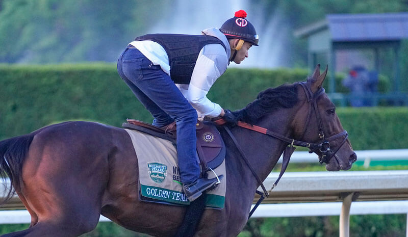 How To Bet - 2026 Belmont Stakes Payouts: Win, Place, Show Results
