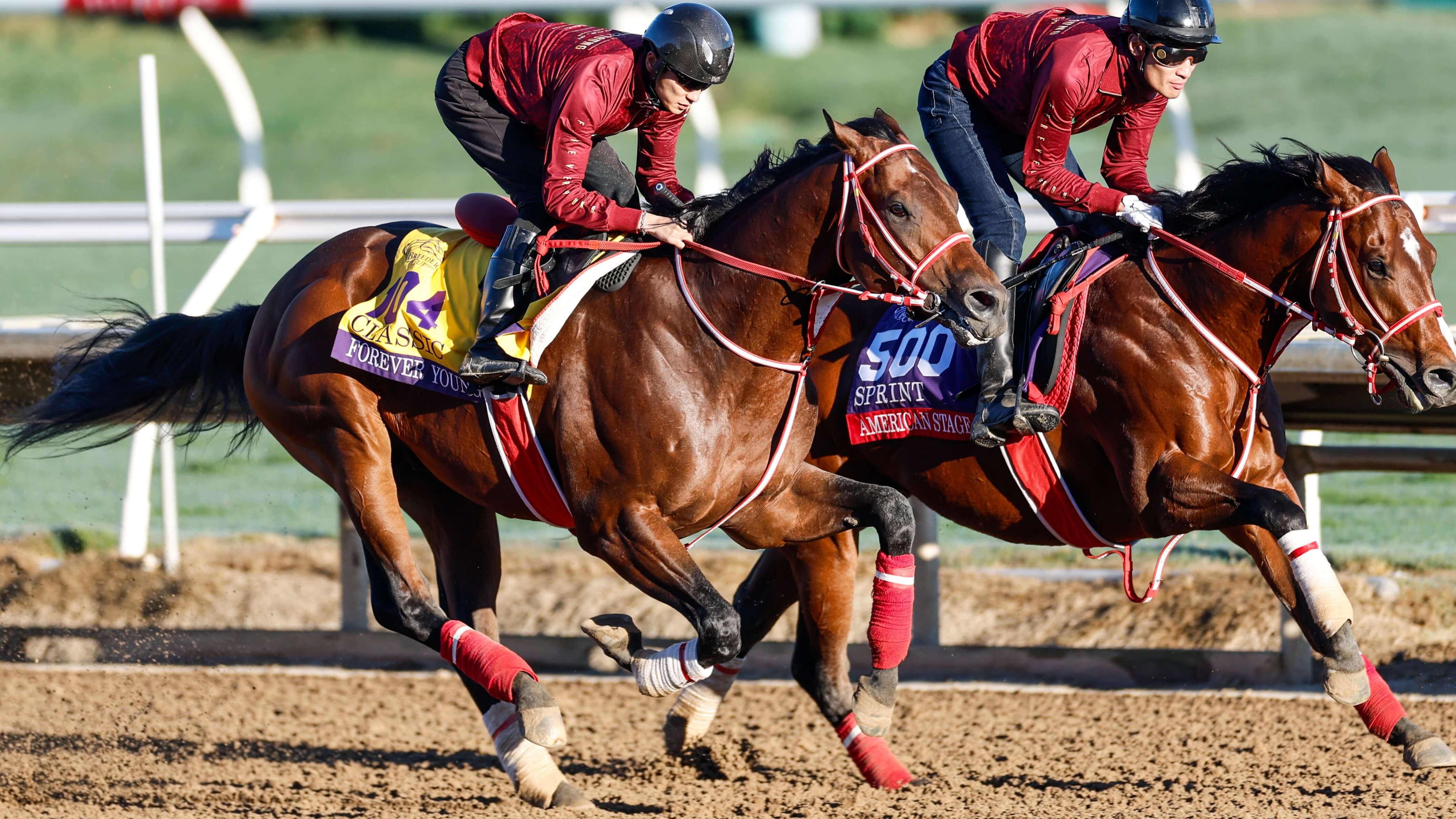How To Bet - Breeders' Cup Picks & Best Bets for November 1: Classic + Mile