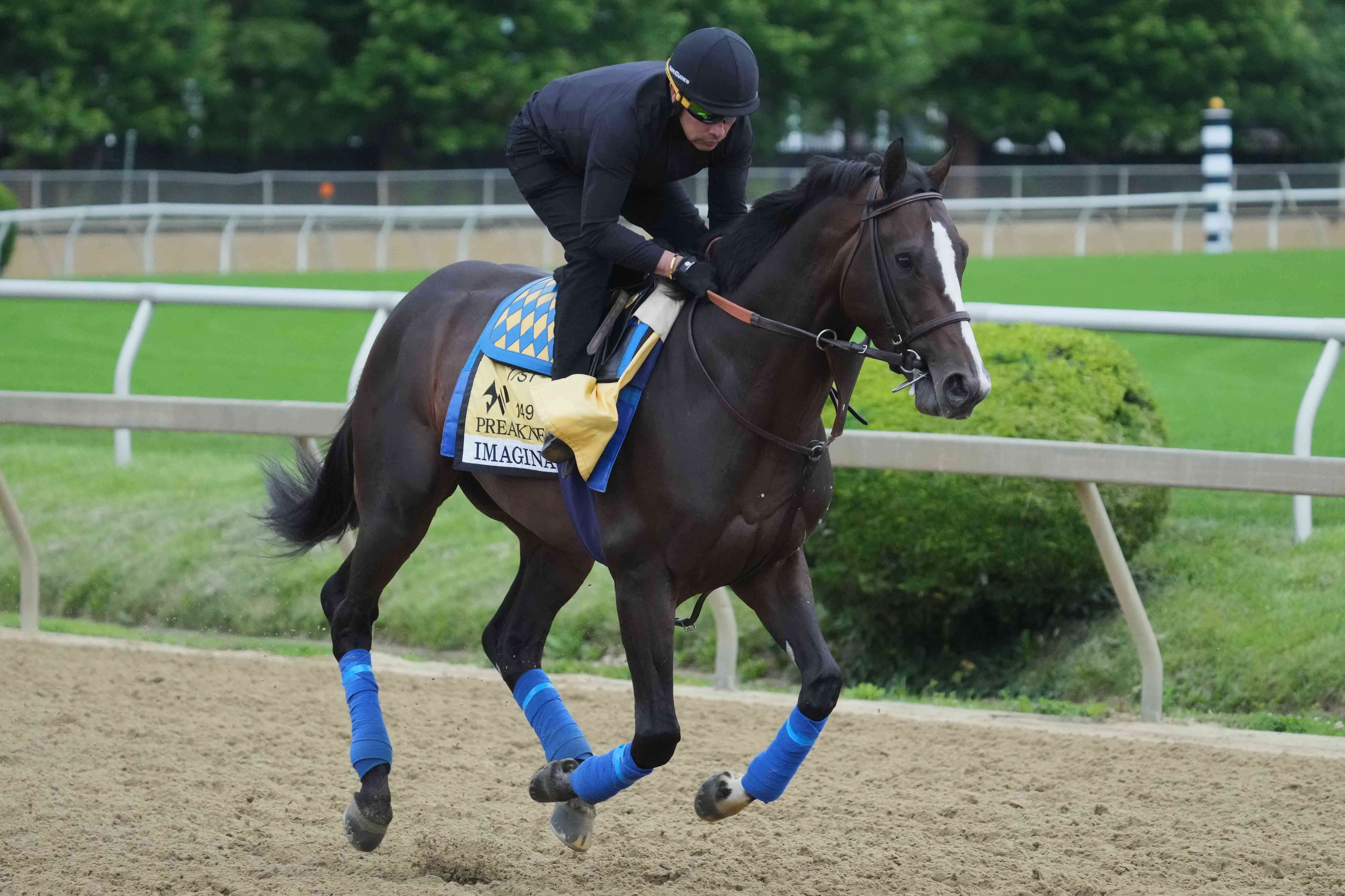 How To Bet - Preakness Stakes Picks: Best Trifecta, Superfecta, Exacta Bets for 2024
