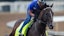 Breeders' Cup Sovereignty