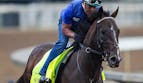 Breeders' Cup Odds: Sovereignty is +187 Classic Favorite