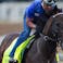 Breeders' Cup horse racing Sovereignty