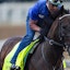 Breeders' Cup horse racing Sovereignty
