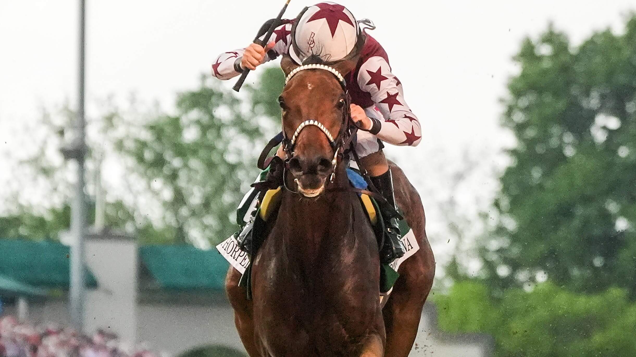How To Bet - Breeders' Cup Odds: Mindframe, Thorpedo Anna Move Closer to Sovereignty in Classic