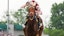 Breeders' Cup Thorpedo Anna