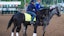 Chunk of Gold horse racing Kentucky Derby