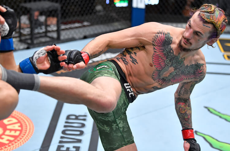 Arizona MMA fighter Sean O'Malley quickly rising in UFC