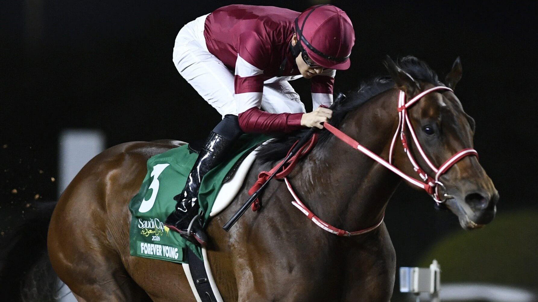 How To Bet - Breeders' Cup Odds 2026: Forever Young Heavily Favored in Jockey Club Gold Cup