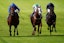 horse racing turf breeders stakes