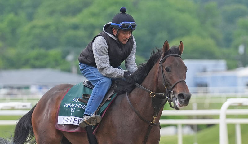 How To Bet - 2026 Preakness Stakes Payouts: Win, Place, Show Results