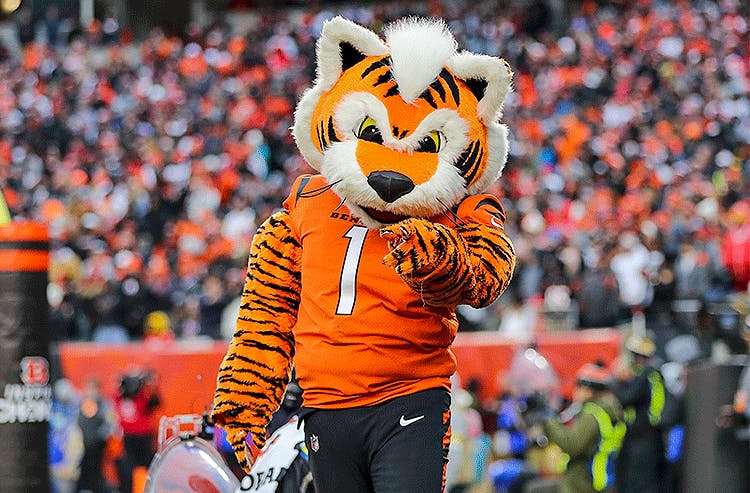 Cincinnati Bengals mascot NFL