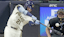 Christian Yelich Milwaukee Brewers MLB