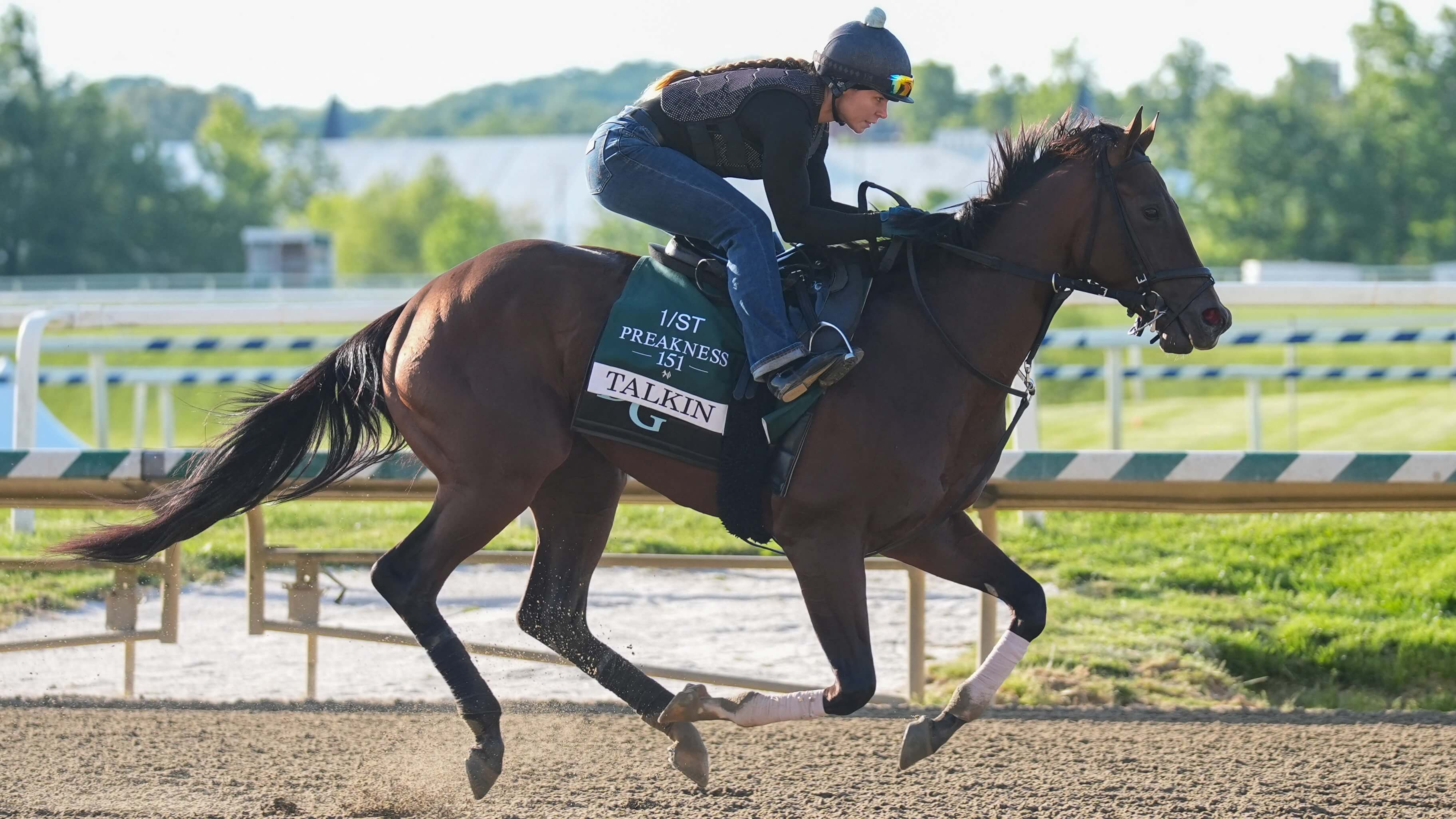 How To Bet - 2026 Preakness Stakes Picks: Exacta, Trifecta & Superfecta Best Bets