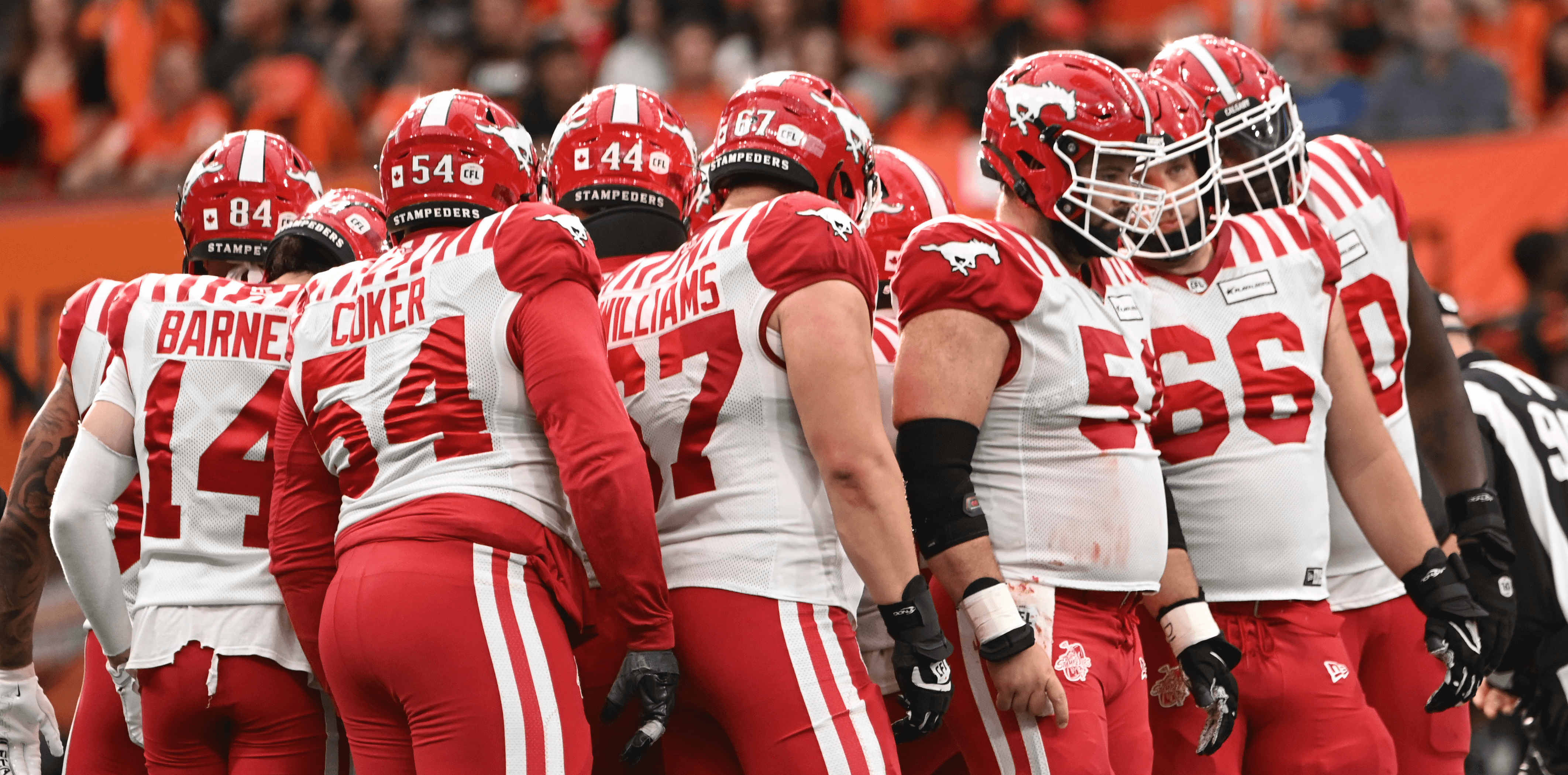 Tiger-Cats vs Stampeders Prediction, Picks & Odds for CFL Week 1