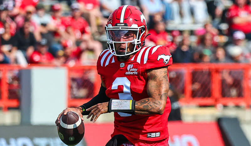 Stampeders vs Elks Prediction, Picks & Odds for CFL Week 21