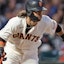 Brandon Crawford MLB San Francisco Giants