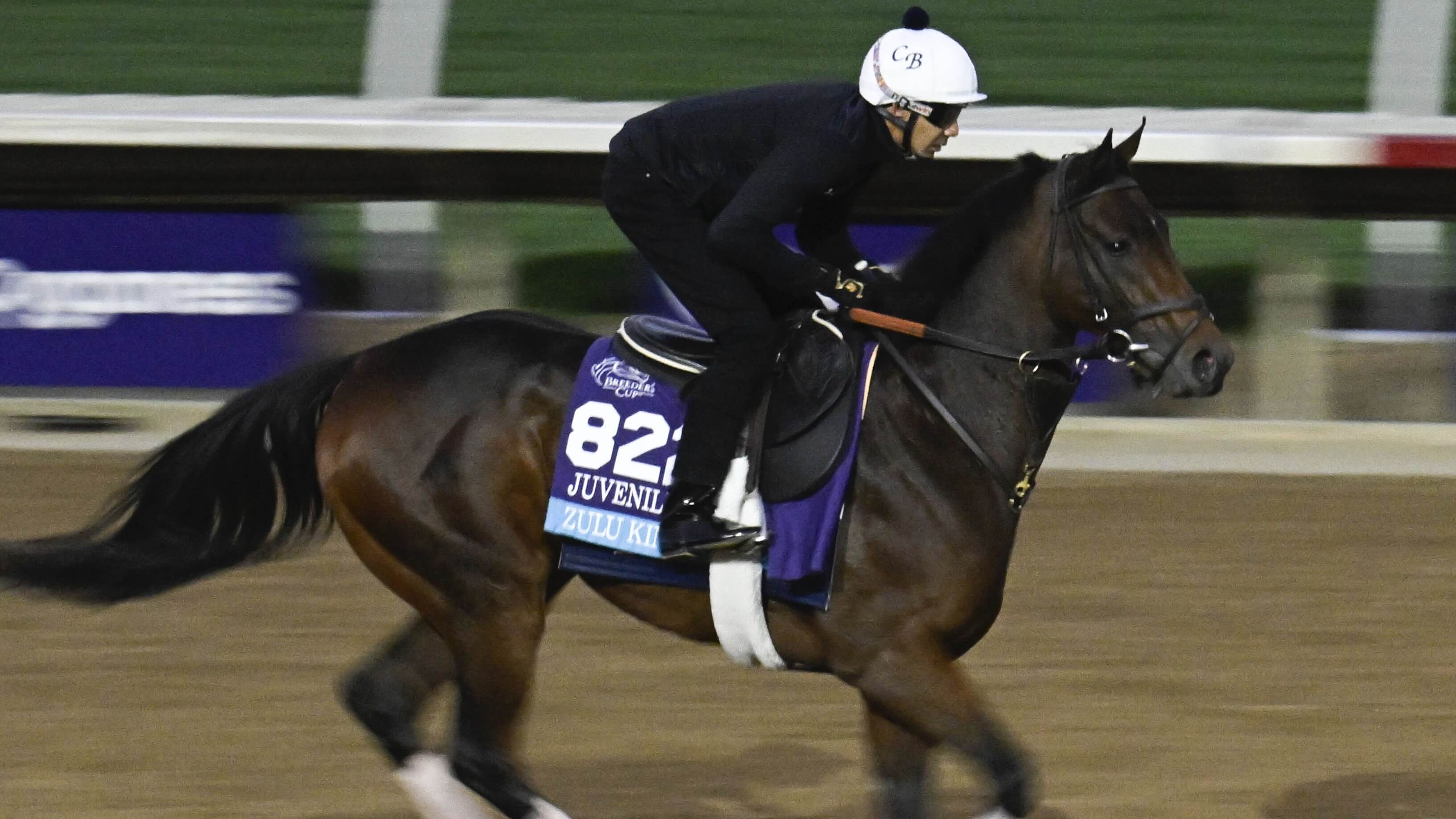 How To Bet - Breeders' Cup Predictions and Picks for Friday: Juvenile & Juvenile Turf