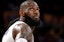 LeBron James Los Angeles Lakers NBA