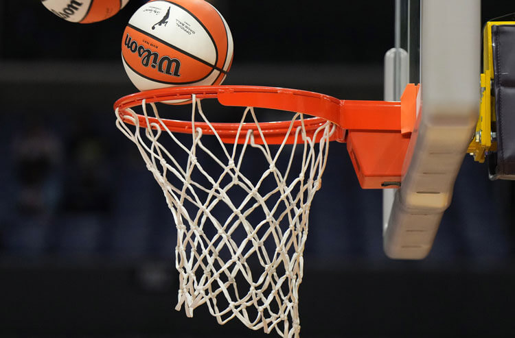 WNBA net