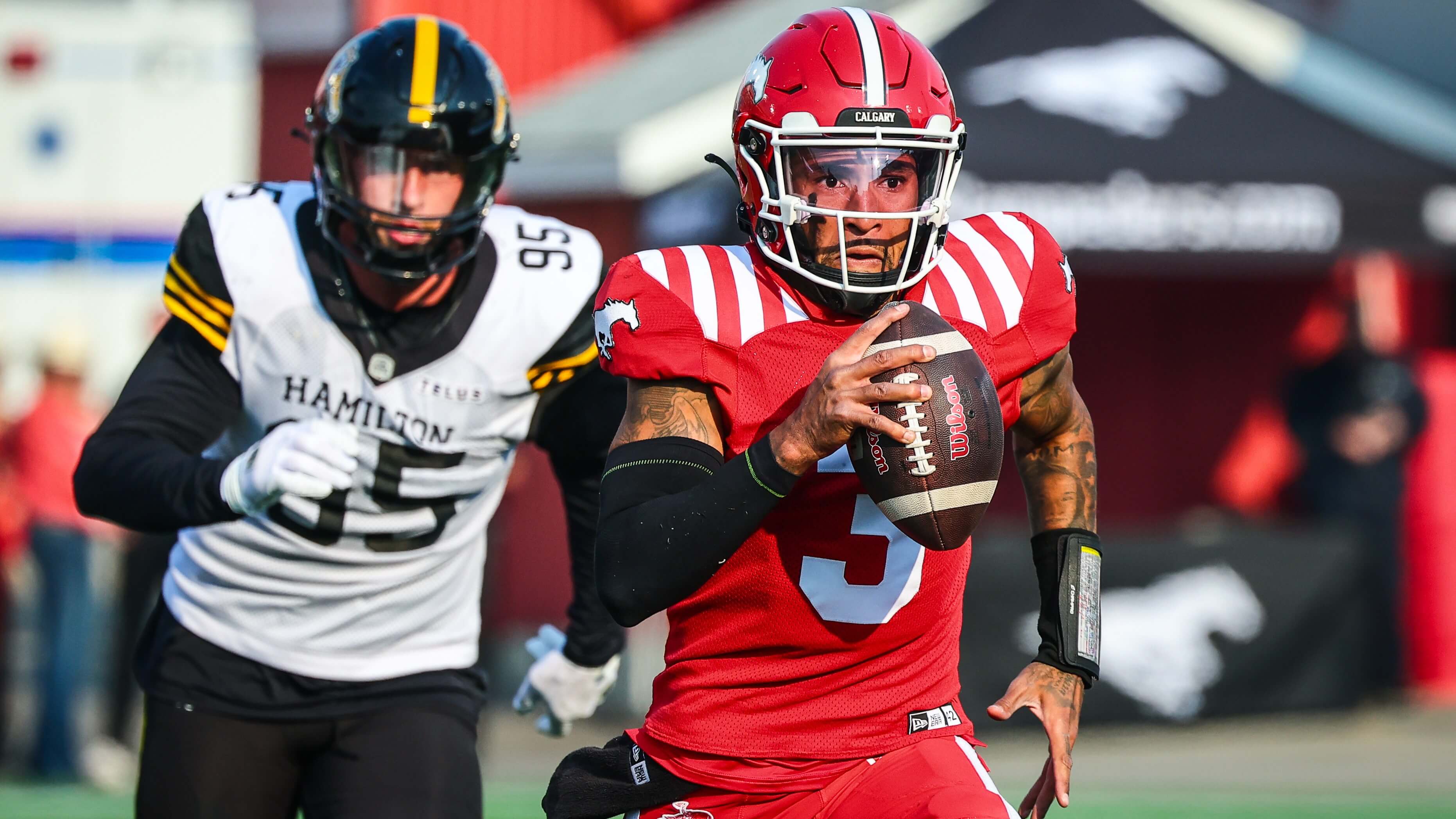 Stampeders vs Elks Prediction, Picks & Odds for CFL Week 14