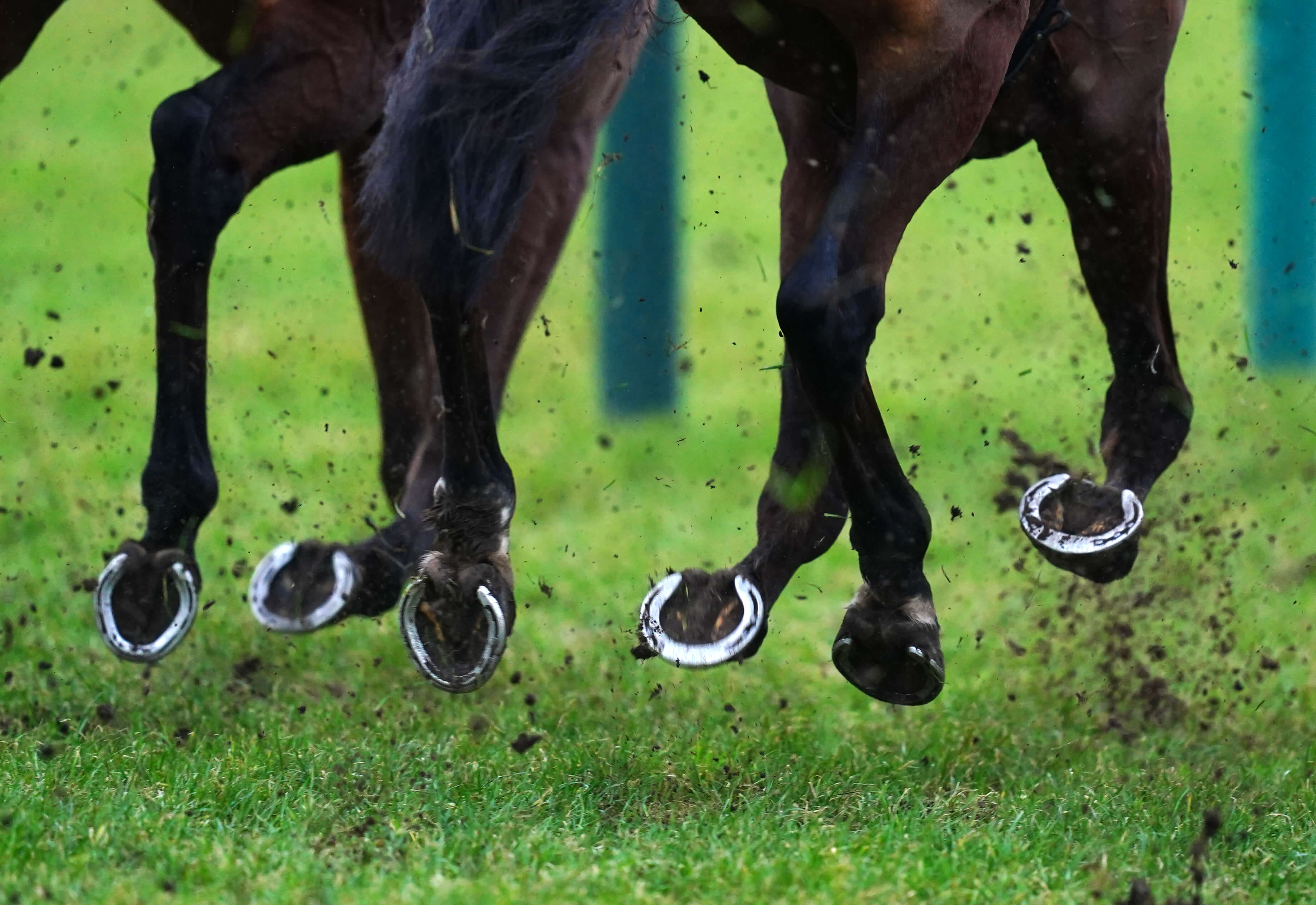 How To Bet - OLG Partners with Woodbine to Power Horse Race Betting Expansion in Ontario