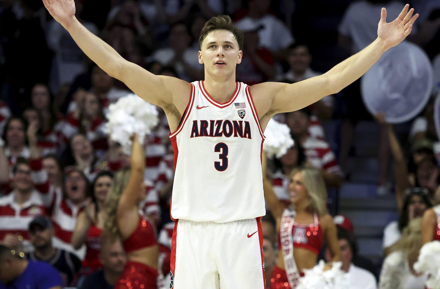 Arizona Wildcats Pelle Larsson NCAAM