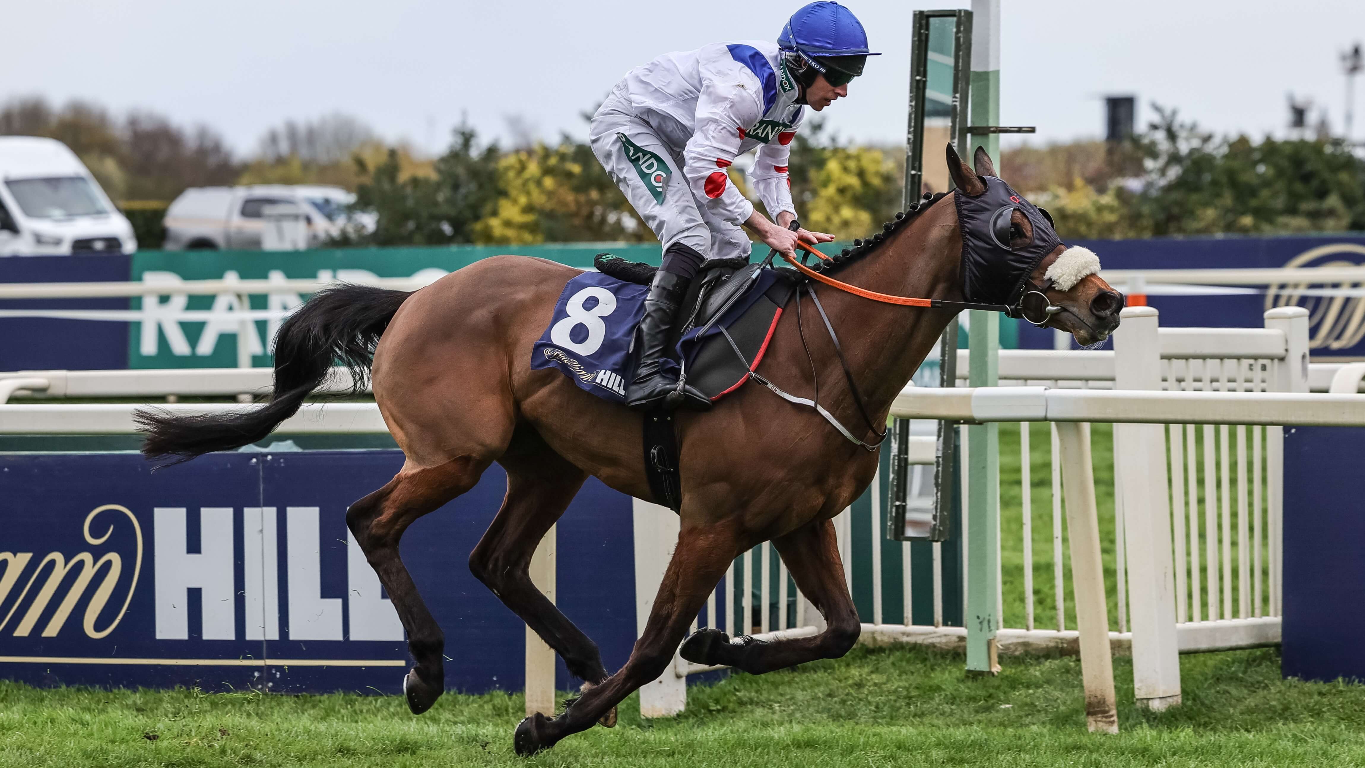 How To Bet - Beginners Guide to Betting on Horses